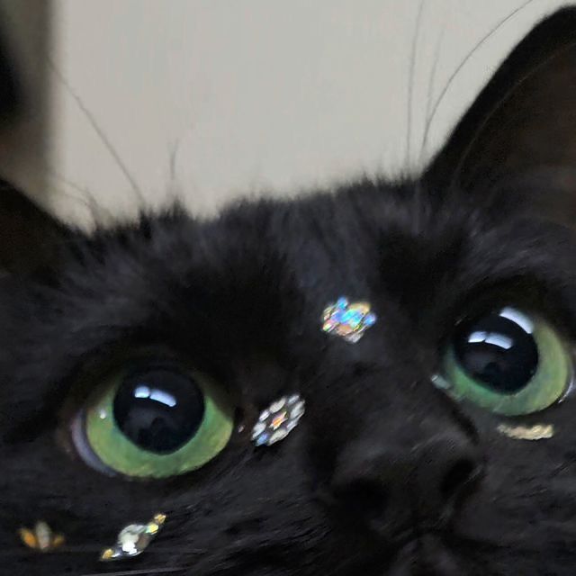 Black cat with green eyes and glitter