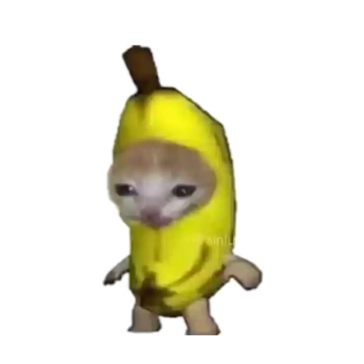 Banana cat meme