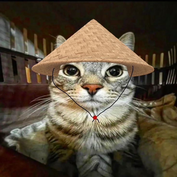 Cat wearing Asian conical hat