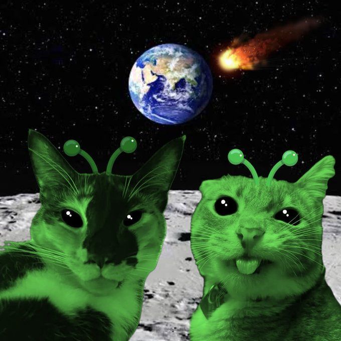 Green alien cats on the moon