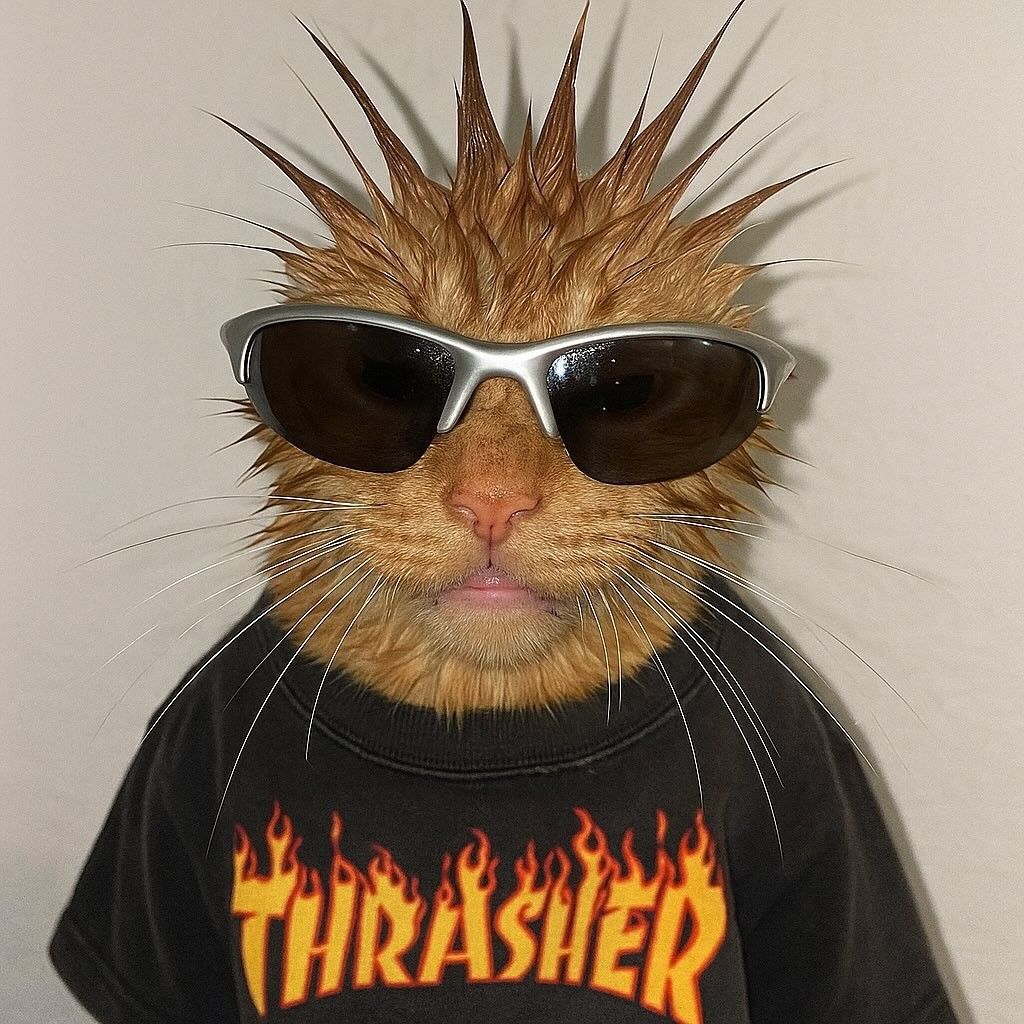 Orange cat with spiky hair wearing Thrasher