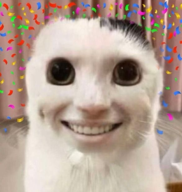 Catposting mascot - smiling cat with confetti