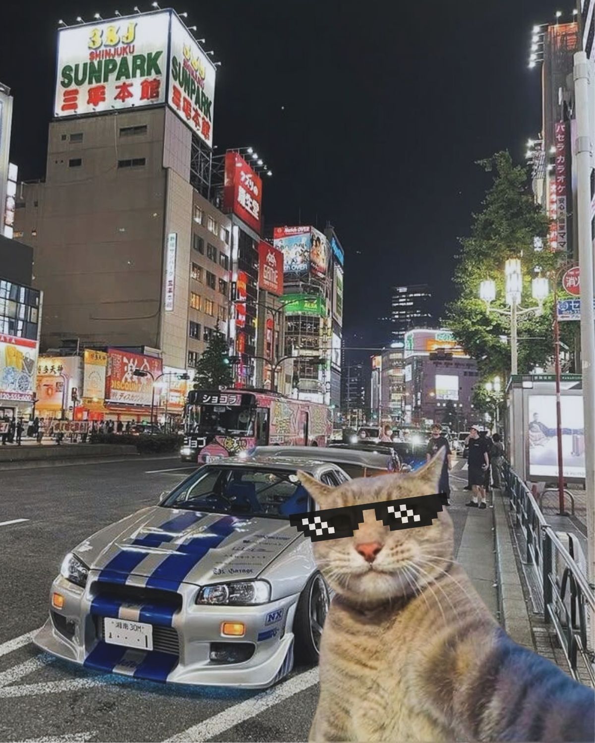 Cat with pixel sunglasses in Japan with Nissan Skyline